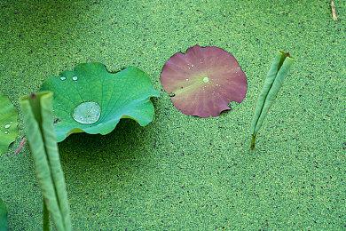 Fami通最受期待新游榜：《最终幻想16》登顶